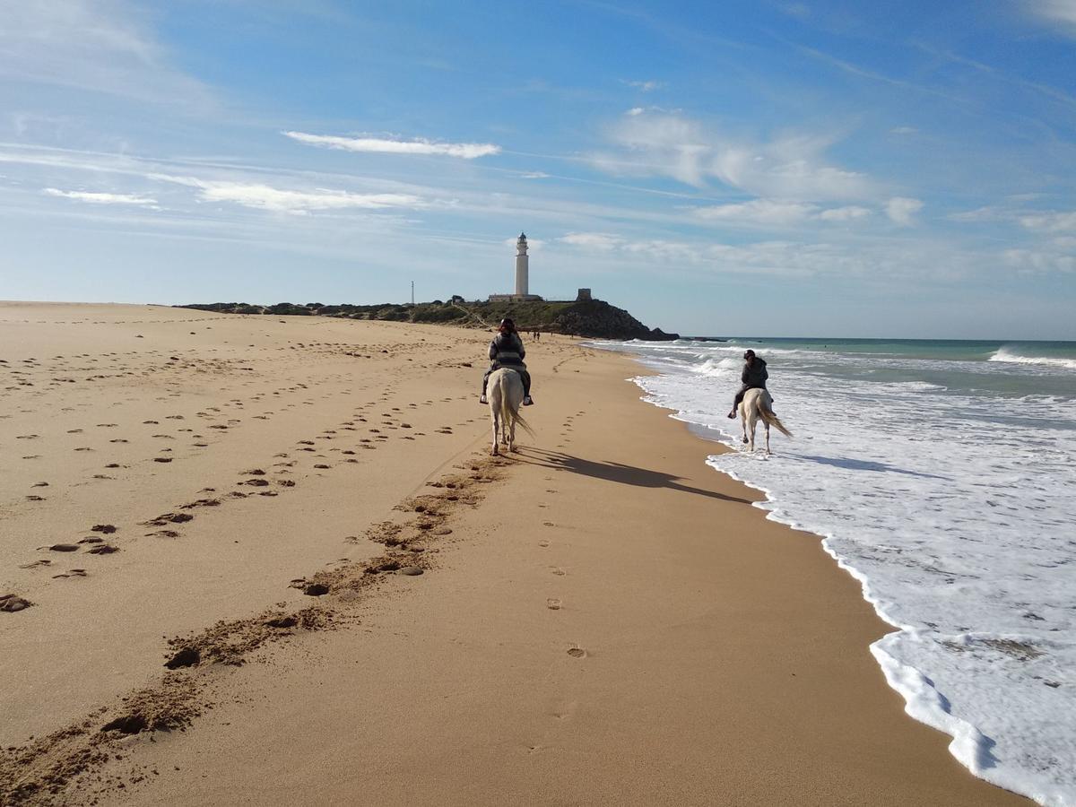 Viviendas Turisticas El Mero Zahora Zewnętrze zdjęcie